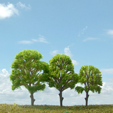 model trees